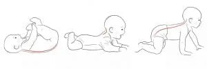 baby spine development